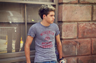 One Direction Niall (2013) 2