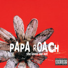 Papa Roach - She Loves Me Not - Cover