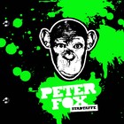 Peter Fox - Stadtaffe - Cover Buch