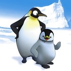 Pigloo - Papa Pinguin 2007 - 2