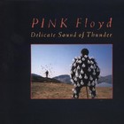 Pink Floyd - Delicate Sound Of Thunder - Cover