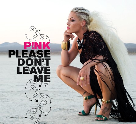 Pink - Don't Leave Me - Cover