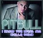 Pitbull - I Know You Want Me (calle ocho) - Cover