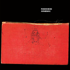 Radiohead - Amnesiac - Cover