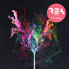 Rea Garvey - Prisma - Album Cover