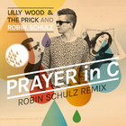 Lilly Wood&The Prick and Robin Schulz - Prayer in C (Cover)