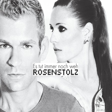 Rosenstolz - Es Tut Immer Noch Weh - Cover