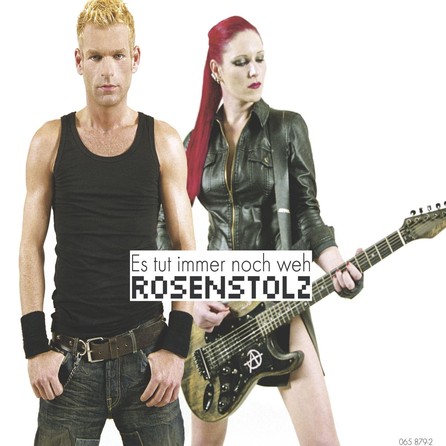 Rosenstolz - Es tut immer noch weh - Cover