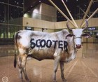Scooter - Behind The Cow - Cover