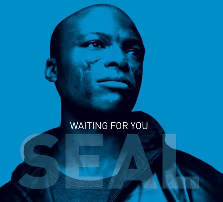 Seal - Waiting for You Single Cover