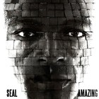 Seal - Amazing Single Cover
