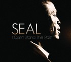 Seal - I Can't Stand The Rain - Cover