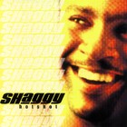 Shaggy - Hot Shot - Cover