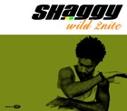 Shaggy - Wild 2nite - Cover
