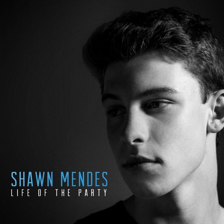 Shawn Mendes - Life Of The Party - Single Cover