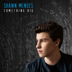 Shawn Mendes - Something Big - Single Cover