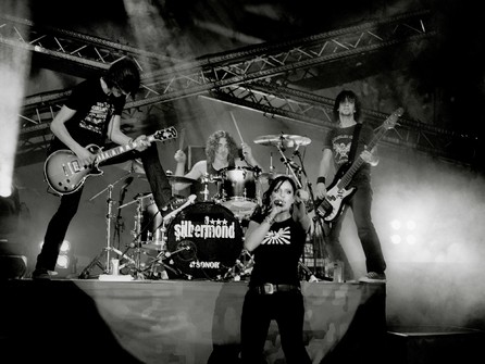 Silbermond - 2007 Laut gedacht Live - 11