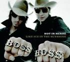 The BossHoss - Hot In Herre - Cover