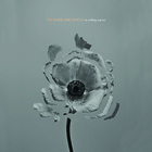 The Naked and Famous - In Rolling Waves - Album Cover