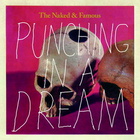 The Naked and Famous - Punching in a Dream - Single Cover