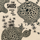The Shins - Wincing The Night Away - Album Cover