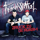 Trackshittaz Zruck zu de Ruabm Album Cover