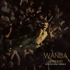 Wanda - Gib mir alles live - Cover