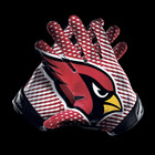 Arizona Cardinals