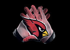 Arizona Cardinals - NFL Ausrüstung - 14